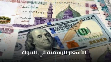 تحديثات الصرف.. سعر الدولار أمام الجنيه في تعاملات الثلاثاء بمختلف البنوك المصرية